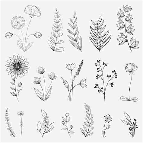 Hand Drawn Flowers Vector Best Flower Site