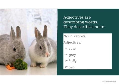 Introduction To Adjectives General R Deutsch Daf Powerpoints