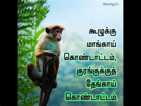 Tamil Tamilquotes Lifequotes Motivationalquotes