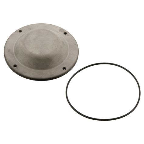 Febi Hub Cap With Sealing Ring Bilstein Group Partsfinder