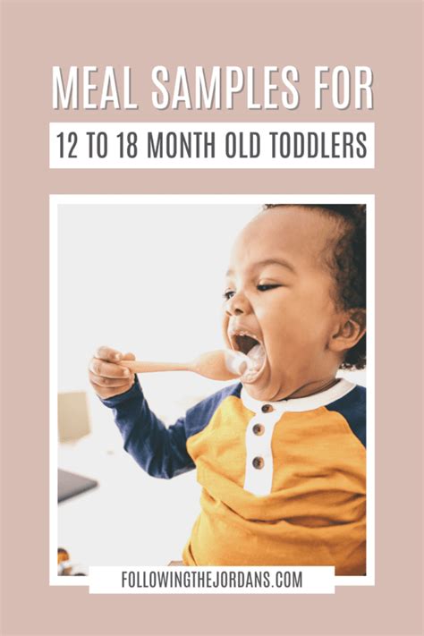 Meal Plan Samples for 12 to 18 Month Old Toddler