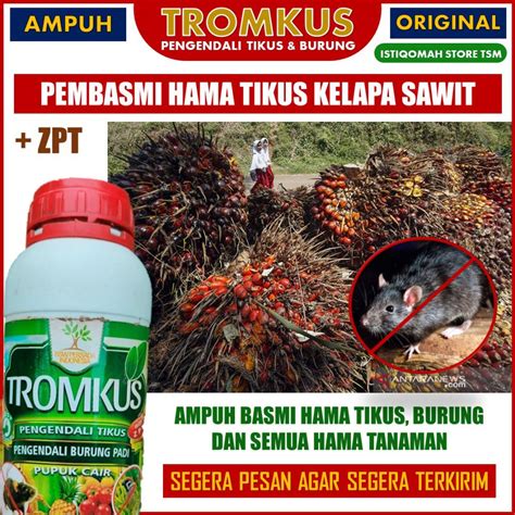 Jual Pupuk Tromkus 500 Ml Pembasi Hama Tikus Pada Tanaman Kelapa Sawit