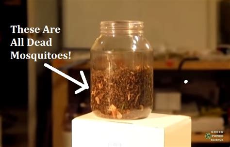 How To Make An Easy Mosquito Trap Catch 1000s Of Mosquitoes Every Night