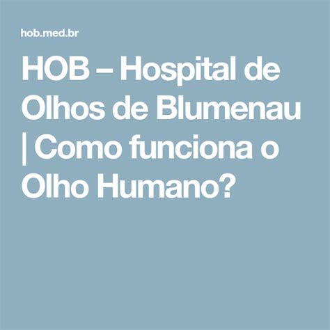 HOB Hospital De Olhos De Blumenau Como Funciona O Olho Humano Em