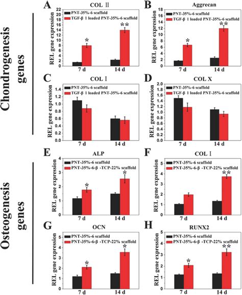 Gene Analysis For Chondrogenic Differentiation And Osteogenic Download Scientific Diagram