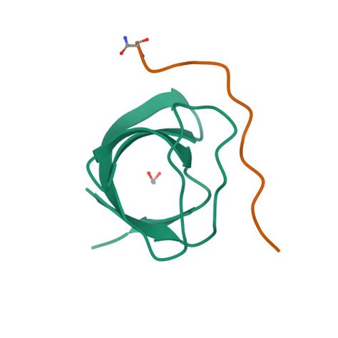 RCSB PDB 3U23 Atomic Resolution Crystal Structure Of The 2nd SH3