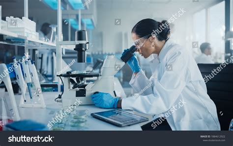 Scientist Working In Lab