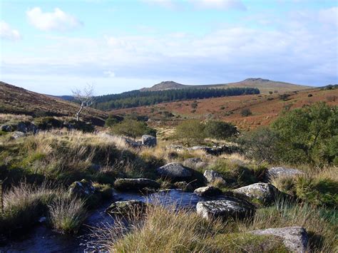 Dartmoor Forest Trees Wallpapers - Wallpaper Cave