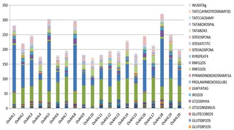 Frontiers Genome Wide Dissection Of At Hook Motif Nuclear Localized