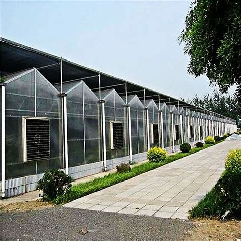 Agriculture Commercial Film Glass Greenhouse With Horizontal Shape