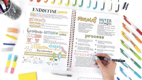 Note Taking Essentials How To Keep Organized And Effective Notes