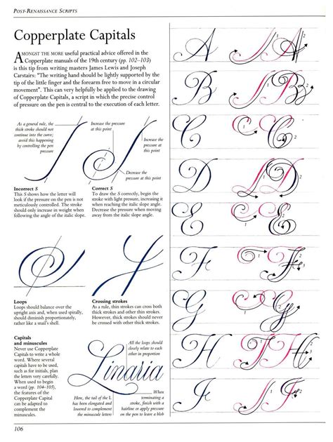 Copperplate Calligraphy Calligraphy Tutorial Hand Lettering