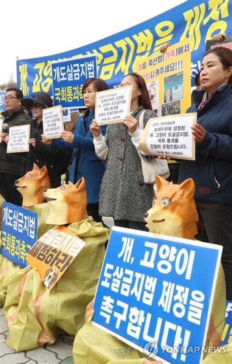 도살금지 법안 통과 촉구 네이트 뉴스