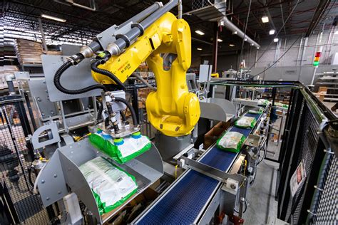 Multi Line Robotic Packing System Pearson Packaging Systems