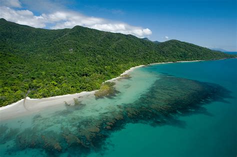 Cape Tribulation, Daintree National Park - Tropical North QLD