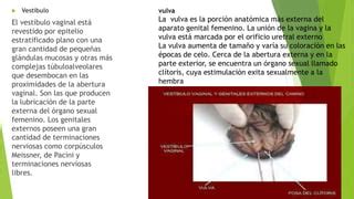 Anatomia Ii Ppt Descarga Gratuita