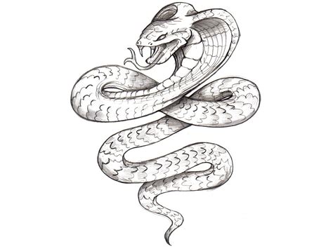 Snake 3d Drawing at GetDrawings | Free download