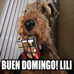 Meme Personalizado Buen Domingo Lili