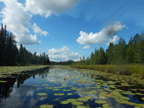 Bwca Kawishiwi Entrance River Inspirational Travel Adventures