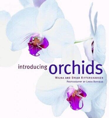 Introducing Orchids By Rittershausen Brian Paperback Softback Book