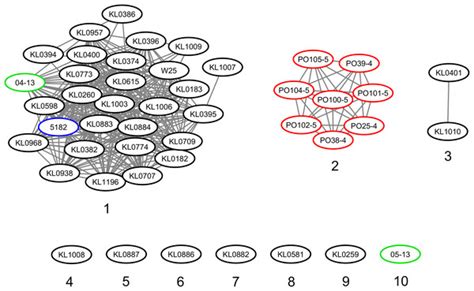 Analysis Of Corynebacterium Silvaticum Genomes From Portugal Reveals A