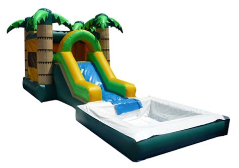 Palm House Combo Wet With A Pool Bounce House Rentals And Water Slides