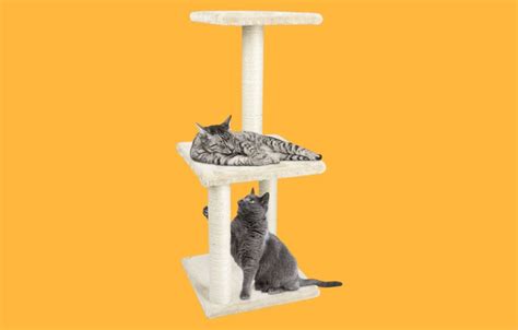 Lidl fait le bonheur de votre chat avec cet arbre à chat à prix mini