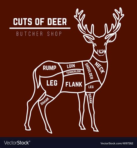 Diagram Deer Meat Cuts Deer Meat Cuts Butchering Diagram Ven