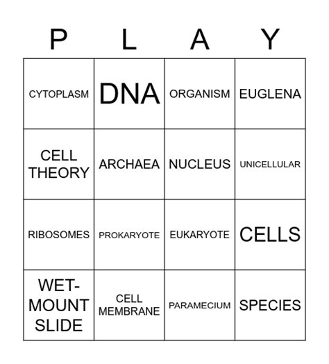 Cells Vocabulary Bingo Card