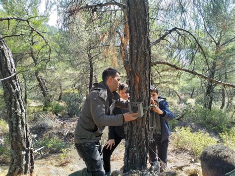 Sinop Ta Yaban Hayat Fotokapanla G R Nt Lendi Haberler