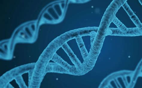 Dna Completata La Mappa Del Genoma Umano