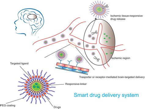 Schematic Diagrams Of A Smart Drug Delivery System Targeting Ischemic