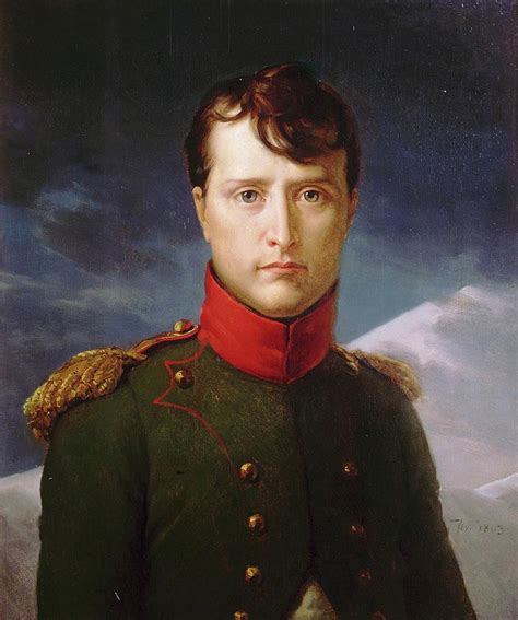 Napoleon Bonaparte Premier Consul Painting by Francois Gerard | Pixels