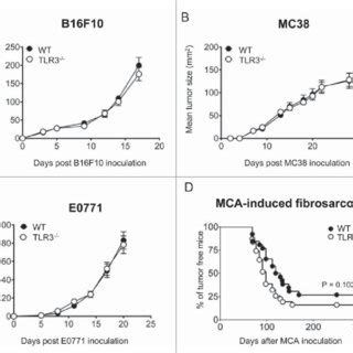 Tlr Is Dispensable For The Control Of Primary Tumor Growth And