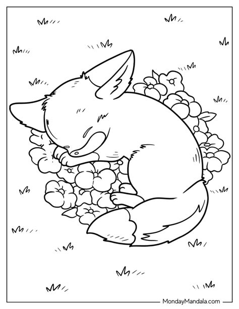 Baby Realistic Fox Coloring Pages