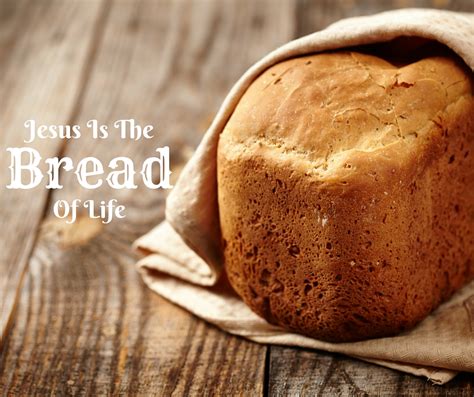 Jesus Is The Bread of Life – The Sacred Story