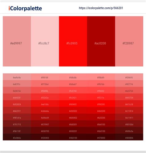 Red Color Shades Swatches Palette With Names Stock Vector, 44% OFF