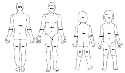 Medicolegal Autopsy Flashcards Quizlet