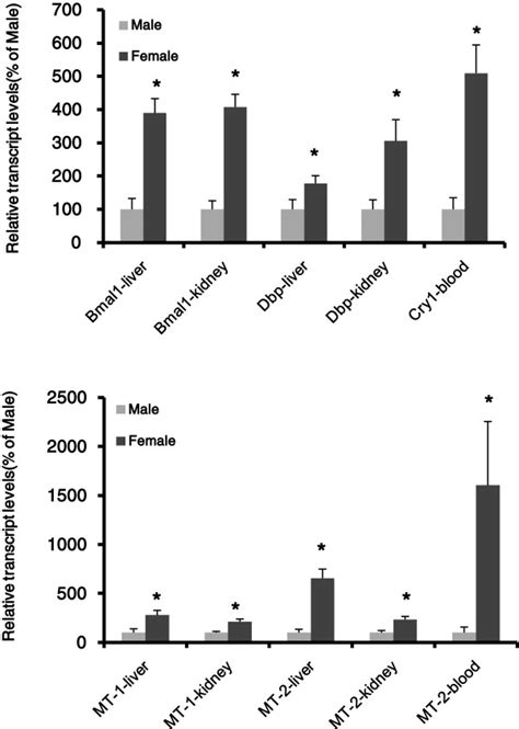 Sex Differences In Mrnas Levels Of Clock And Mt At Their Peak In Males