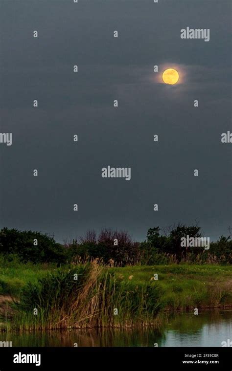 Night Landscape With Moon And Moonbeam In River Stock Photo Alamy