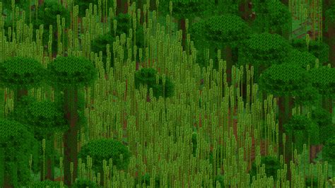 Bamboo Jungle – Minecraft Wiki