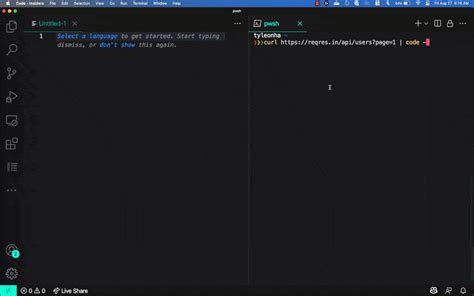 Editor Set Language For Syntax Highlighting In Visual Studio Code