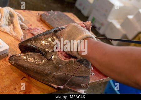 Hands Of Man Cutting The Head Of A Tuna Fish Tsukiji Market Tokyo