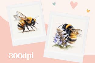 Watercolor Honeybee Clipart Bundle Graphic By Flourishartnz Creative