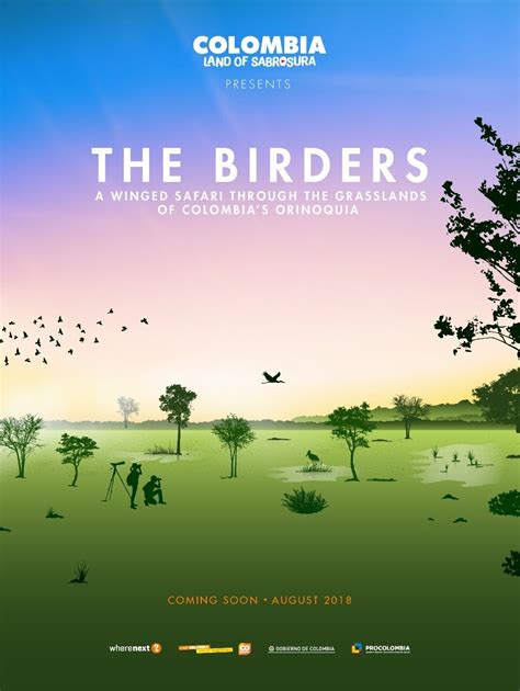 Storytelling Agency Produces Interactive "Bird from Home" Documentary ...