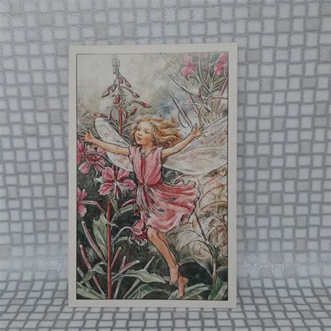 Flower Fairies Cicely Mary Barker Post Cards Postcards Wayside