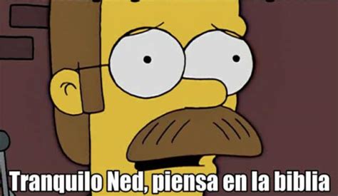 Flanders Ned Piensa En La Biblia Meme El Deforma Un No Ticiero De