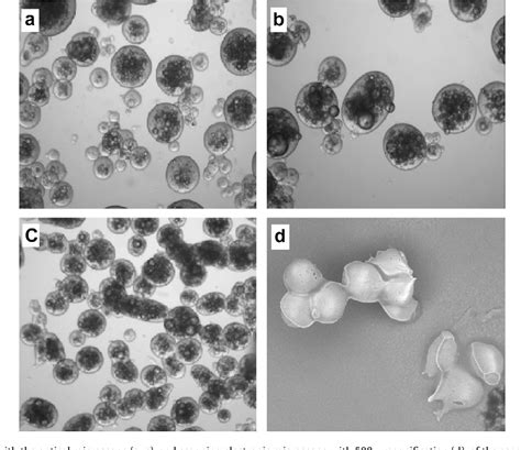 Figure From Microencapsulation Of Aspartame By Double Emulsion