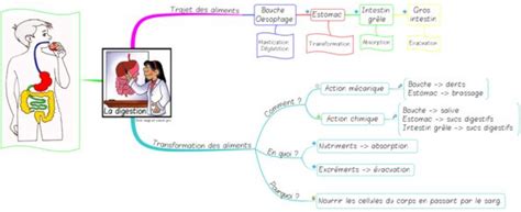 Sciences Site De Stylo Rouge Et Crayon Gris