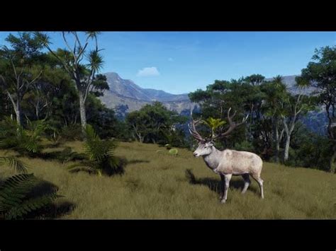 Killing A Albino Female And Four Star Whitetail Deers In Matariki Way